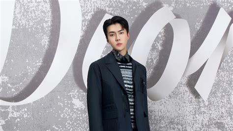 dior global ambassador 2022|ambassador of Dior korea.